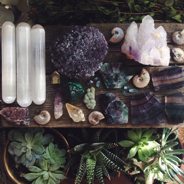 Featured image of post Aesthetic Plants And Crystals