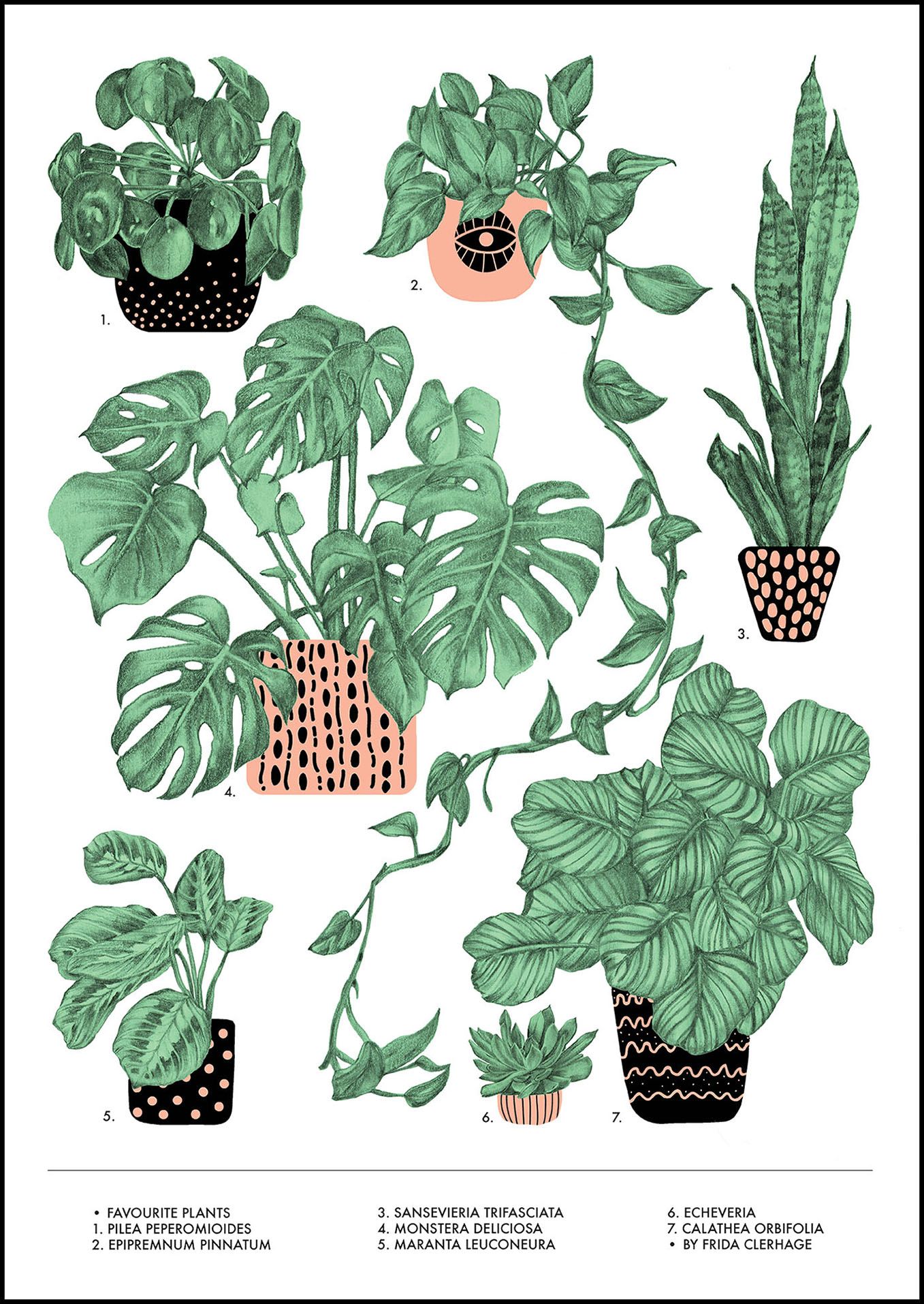 Featured image of post Aesthetic Plants Drawing