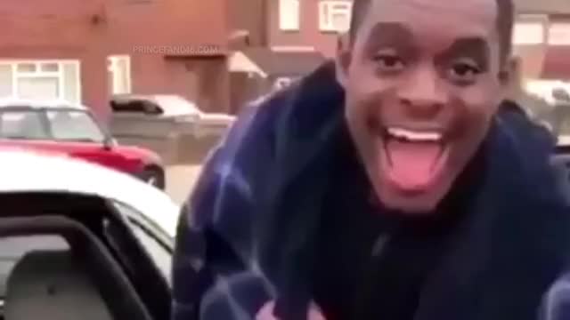 Featured image of post Black Guy Laughing Gif