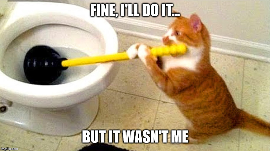 Featured image of post Cat Plumber Meme