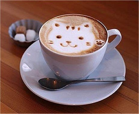 Featured image of post Cat With Coffee Art