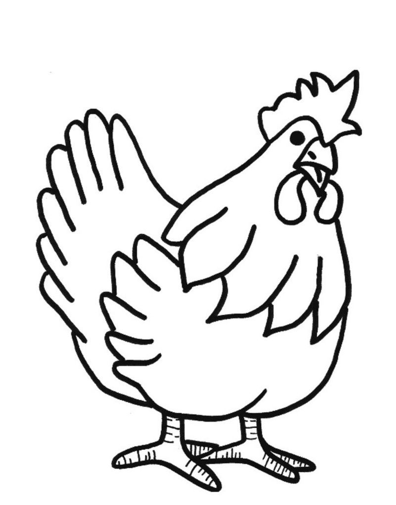 Featured image of post Chicken Coloring Pages For Kids