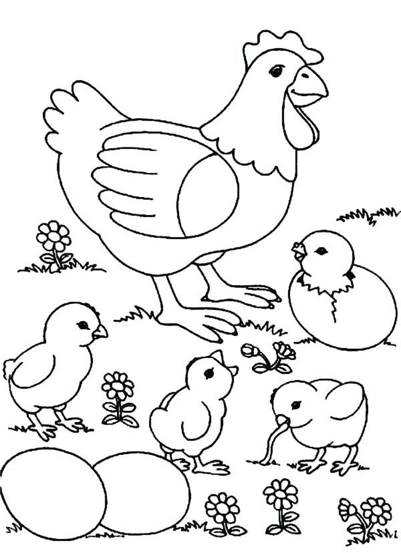 Featured image of post Chicken Coloring Pages For Preschoolers