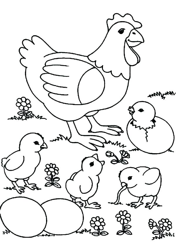 Featured image of post Chicken Coloring Pages Free