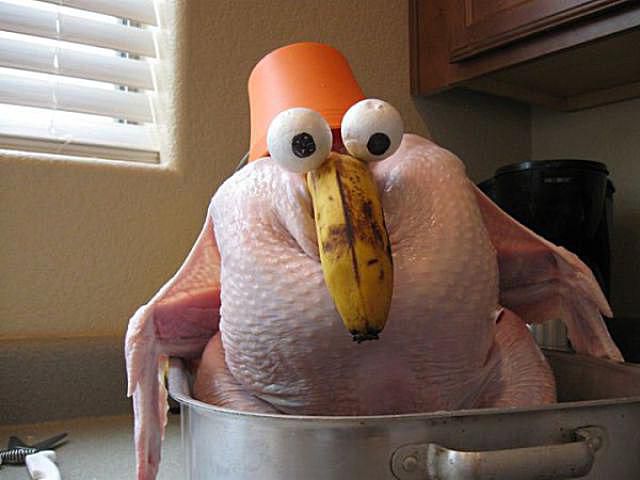 Featured image of post Funny Turkey Pics