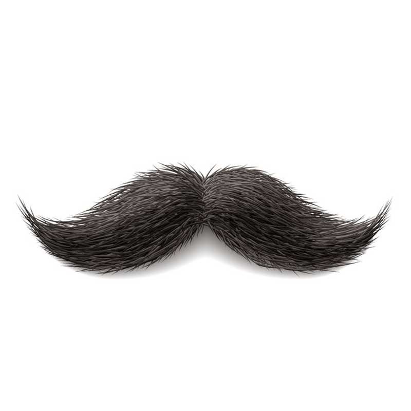 Featured image of post Handlebar Mustache Png