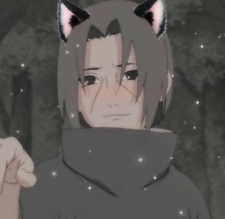 Featured image of post Itachi Cat Boy