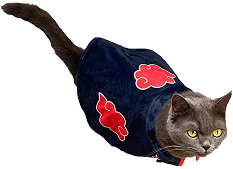 Featured image of post Itachi Cat Costume