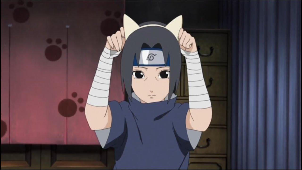 Featured image of post Itachi Cat Pfp