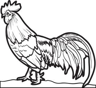 Featured image of post Realistic Chicken Coloring Pages