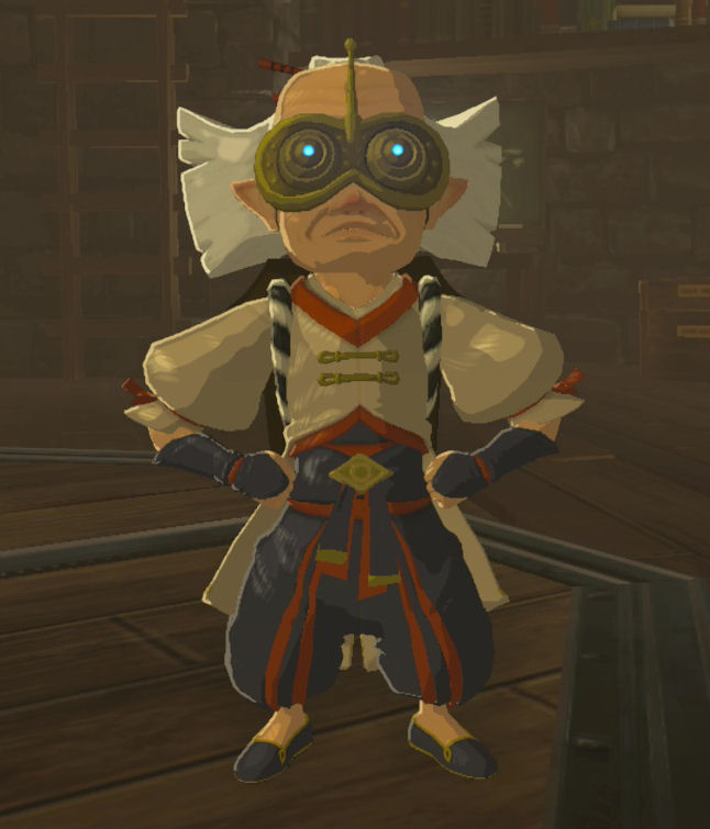 Featured image of post Robbie Breath Of The Wild