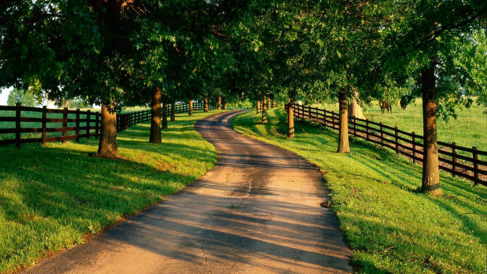 Featured image of post Summer Country Background Images