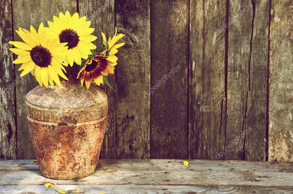 Featured image of post Sunflower Country Background Images