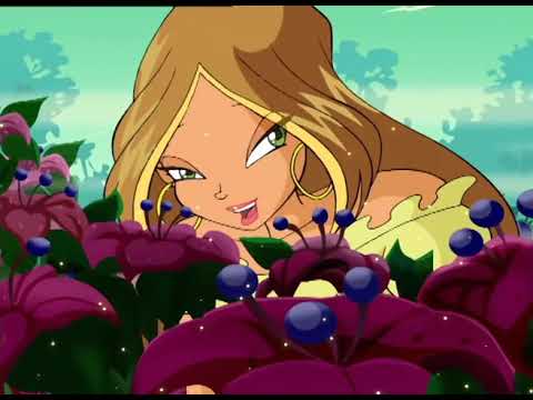 Featured image of post Winx Club Temporada 1 Capitulo 12